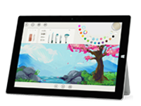 湄潭Surface 无法开启、Windows 无法启动或电池无法充电